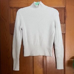 Zara Turtleneck Sweater